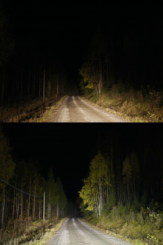 Illustration for article titled Rayzer Triples Driving Visibility, Surprised Deers